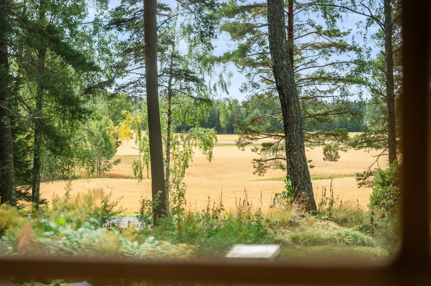 Spässlanda Slätta – bild 17