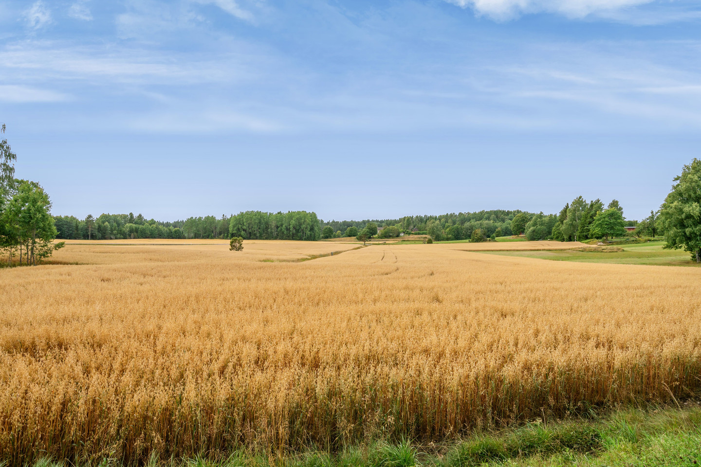 Spässlanda Slätta – bild 43