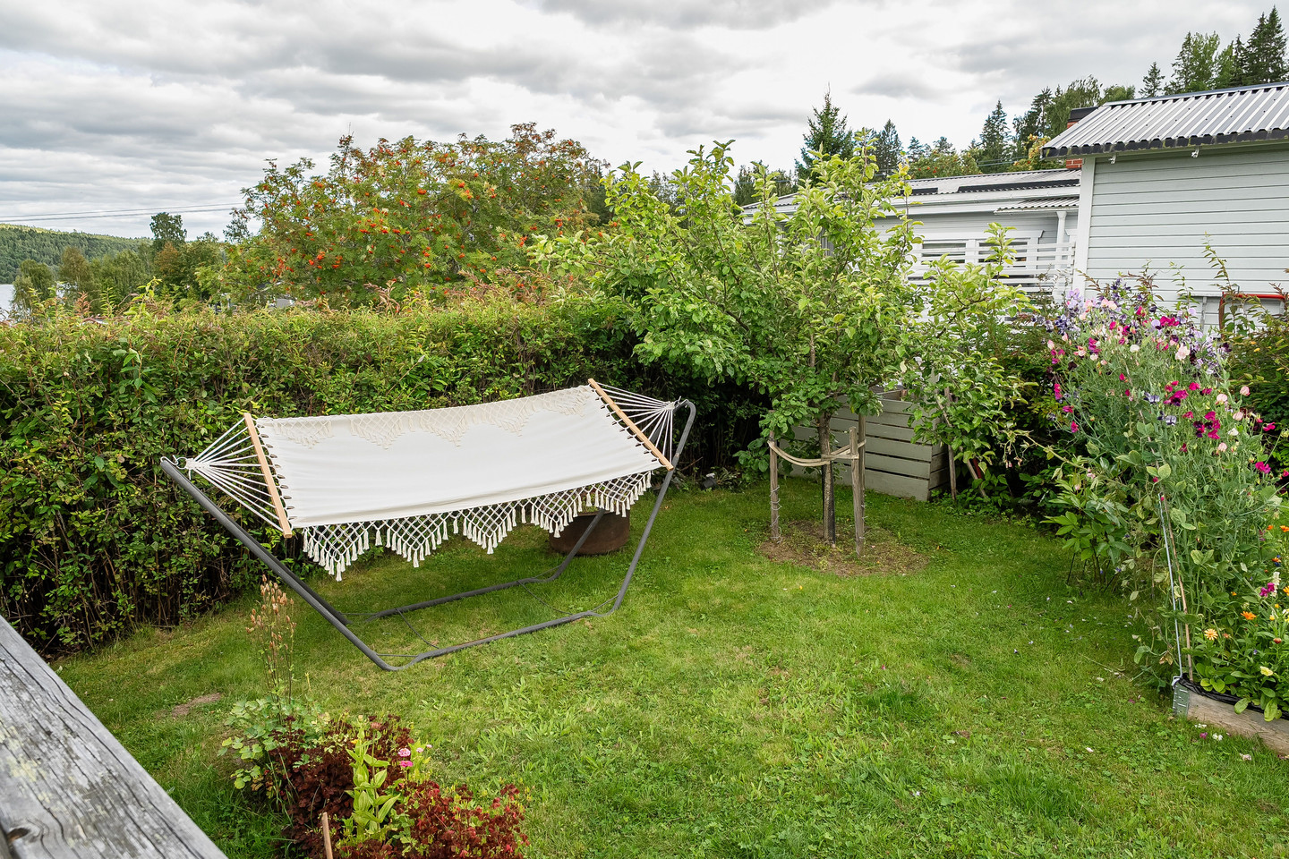 Hamre-Långsjön 150 – bild 6