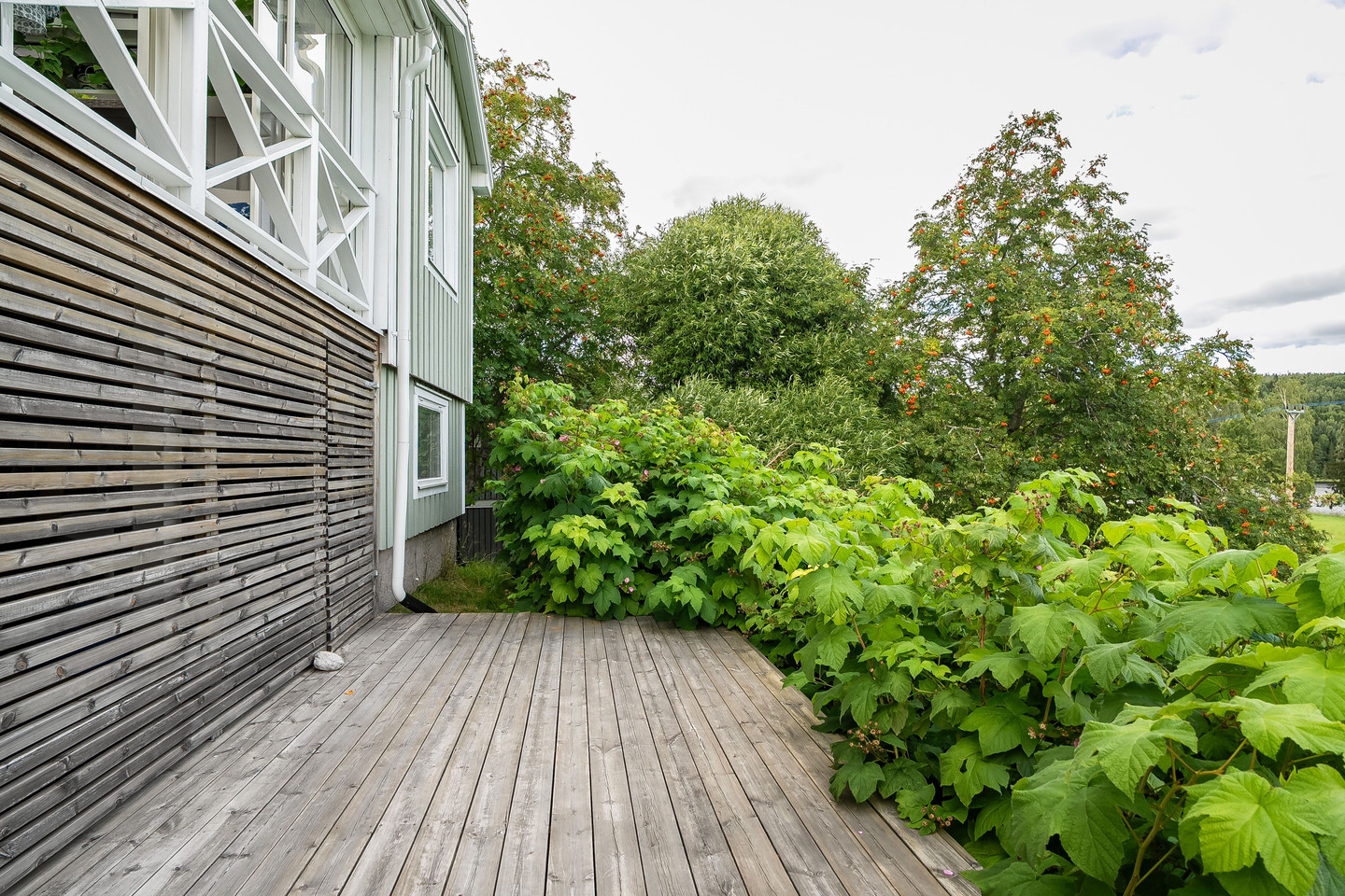 Hamre-Långsjön 150 – bild 37