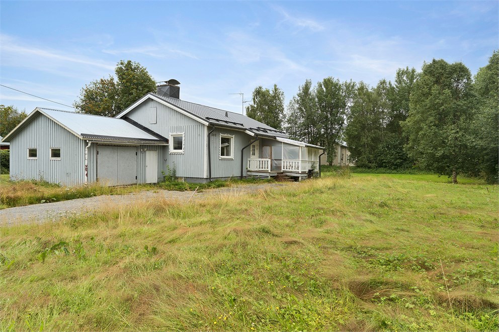 Mattila 282