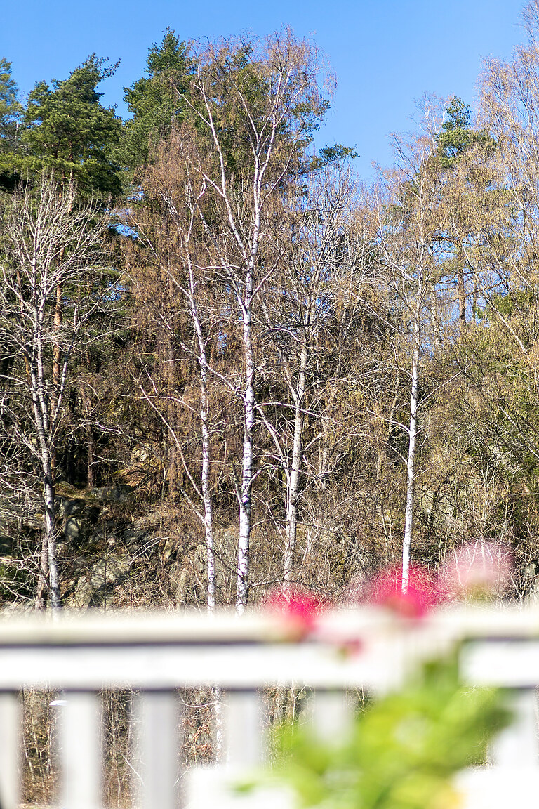 Dyrestensvägen 80F – bild 29