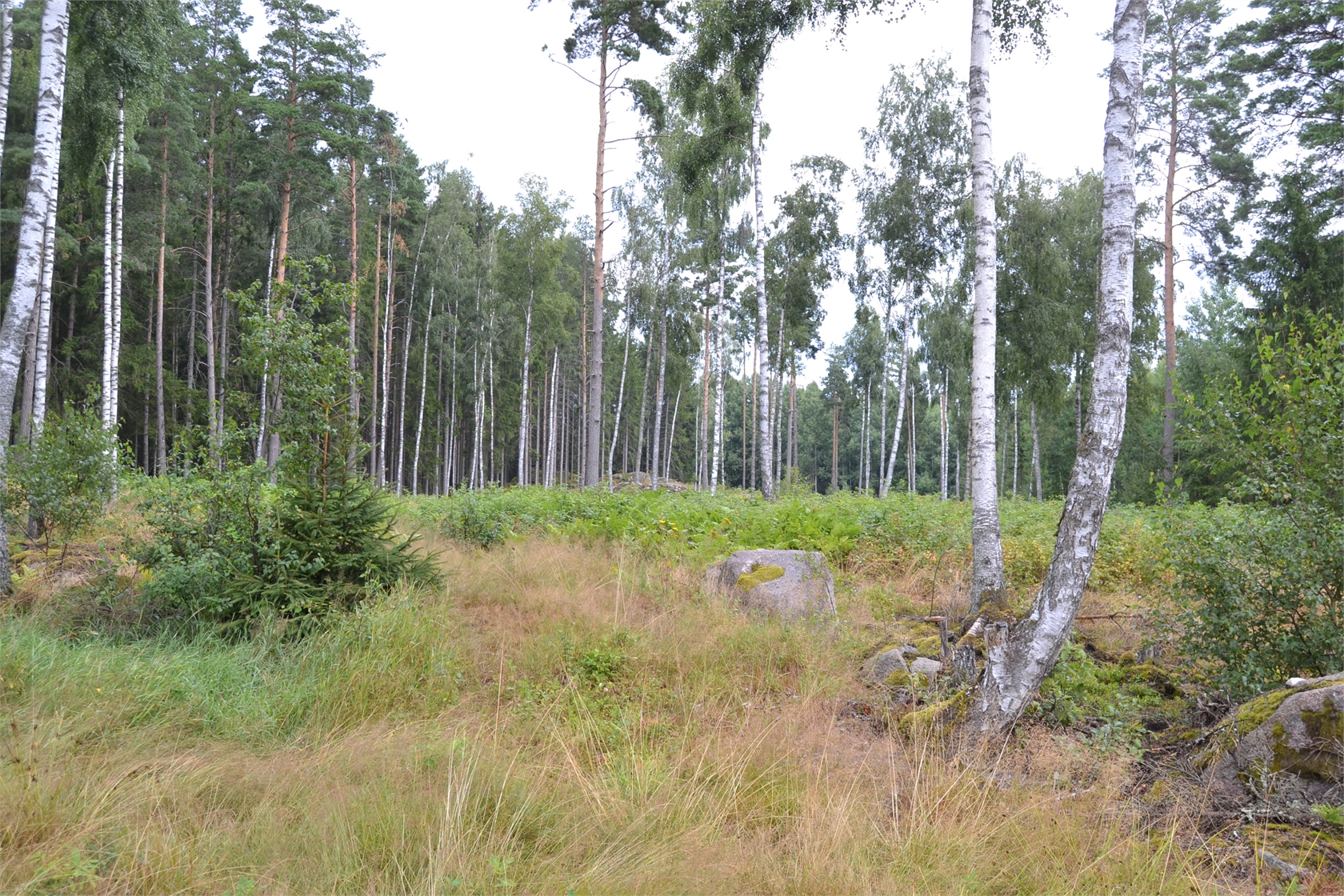 Rud område 2, 6 och 7 – bild 6