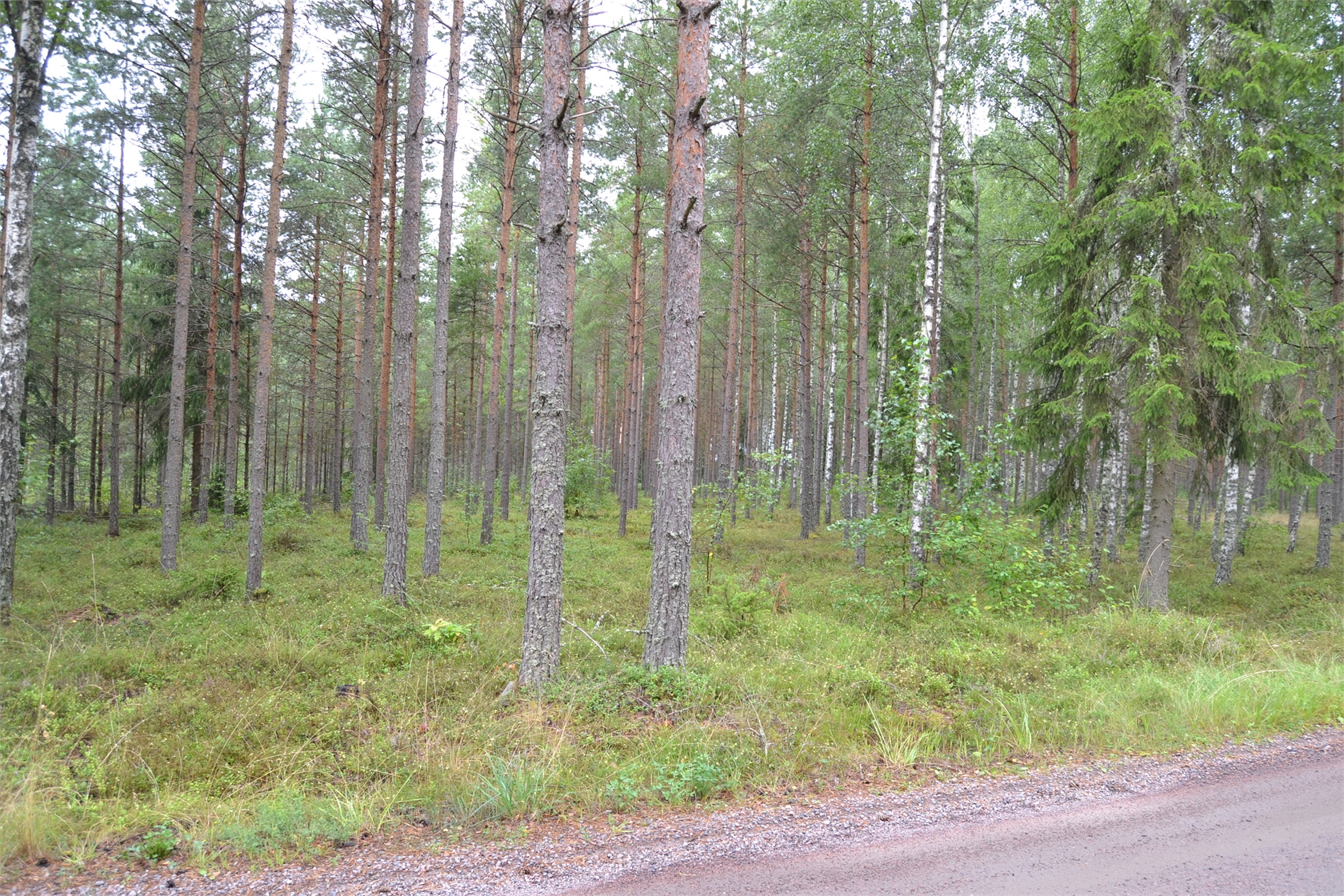 Rud område 2, 6 och 7 – bild 8