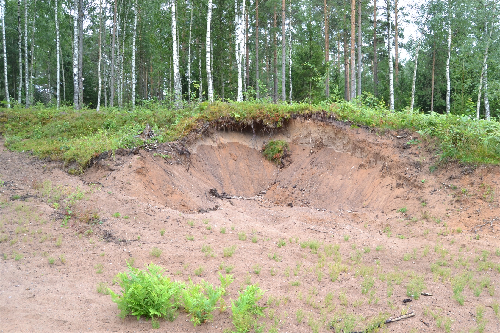 Rud område 2, 6 och 7 – bild 10