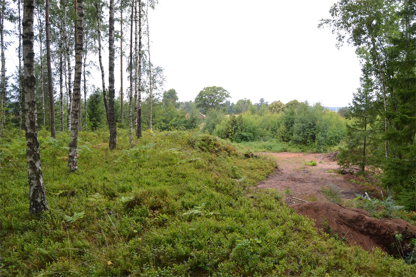 Rud område 2, 6 och 7 – bild 12