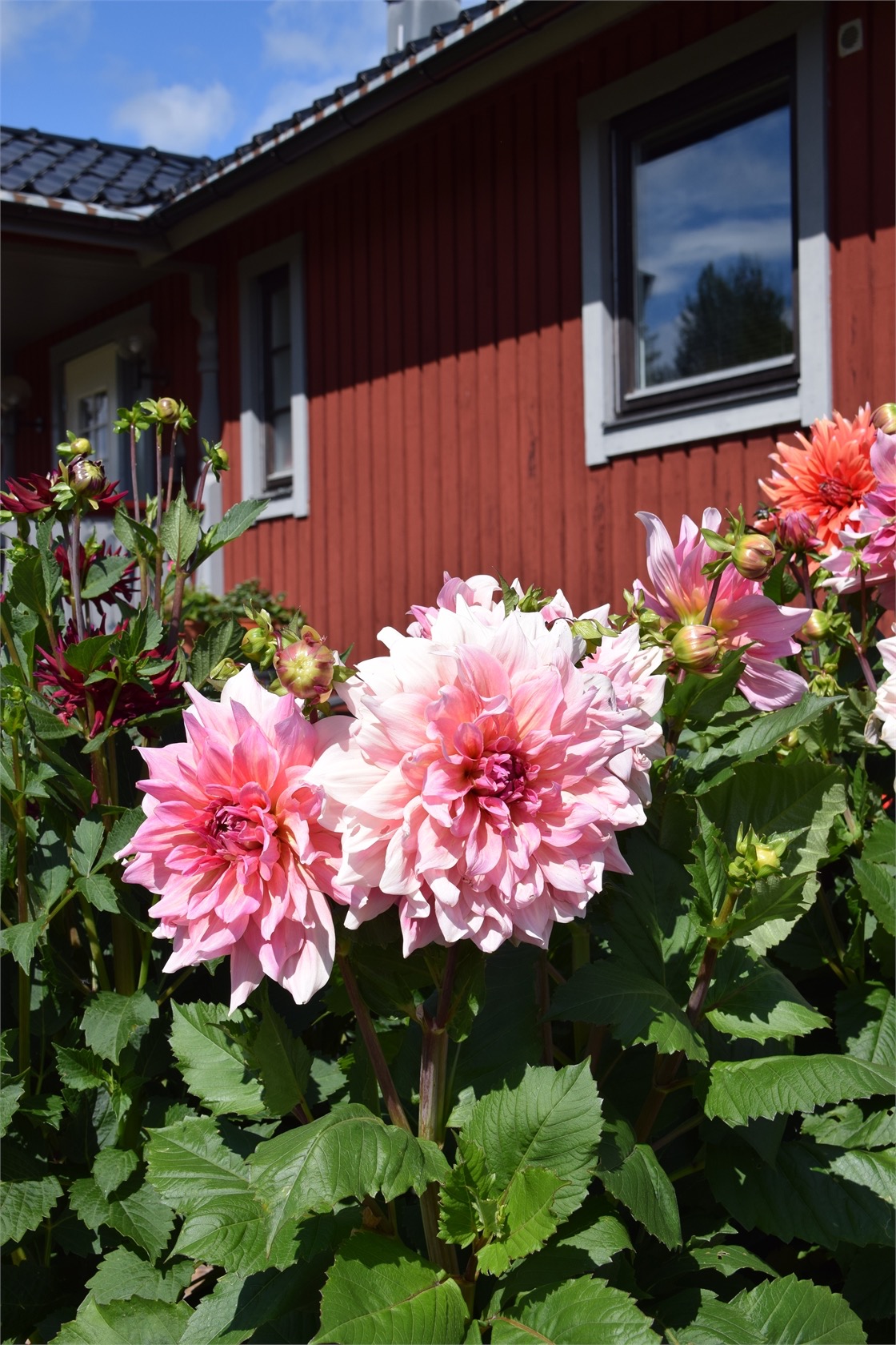 Kvarngårdsvägen 4 – bild 12