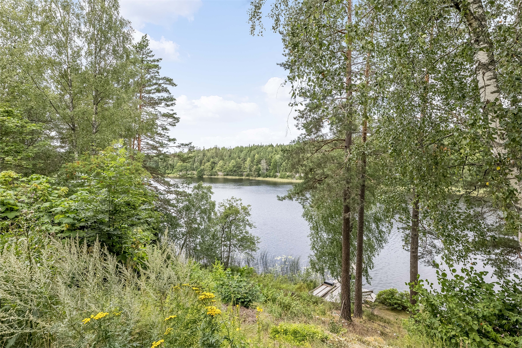 Vildsvinsstigen 4 – bild 64