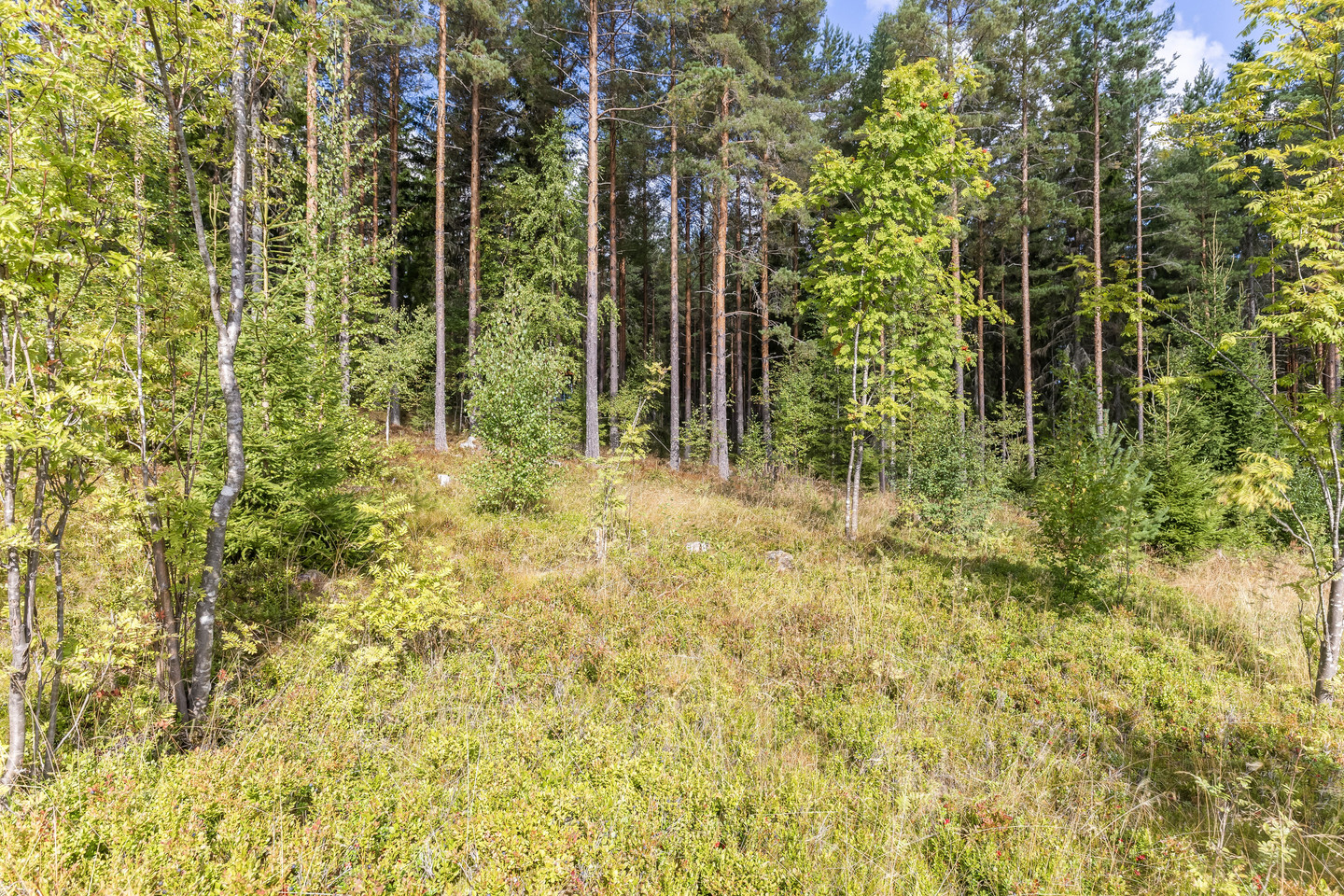 Gruvslingan 15 – bild 39