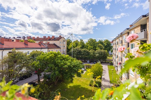 Norra Gatan 8