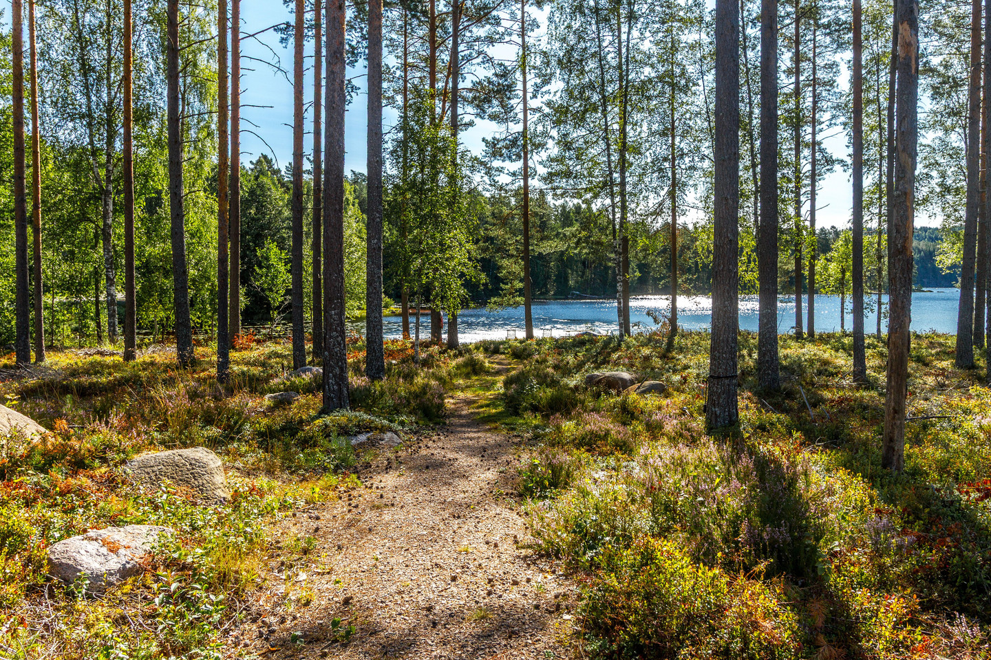 Skärgen 40 – bild 32