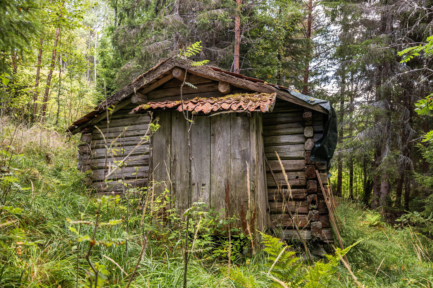 Morberget 5 – bild 18