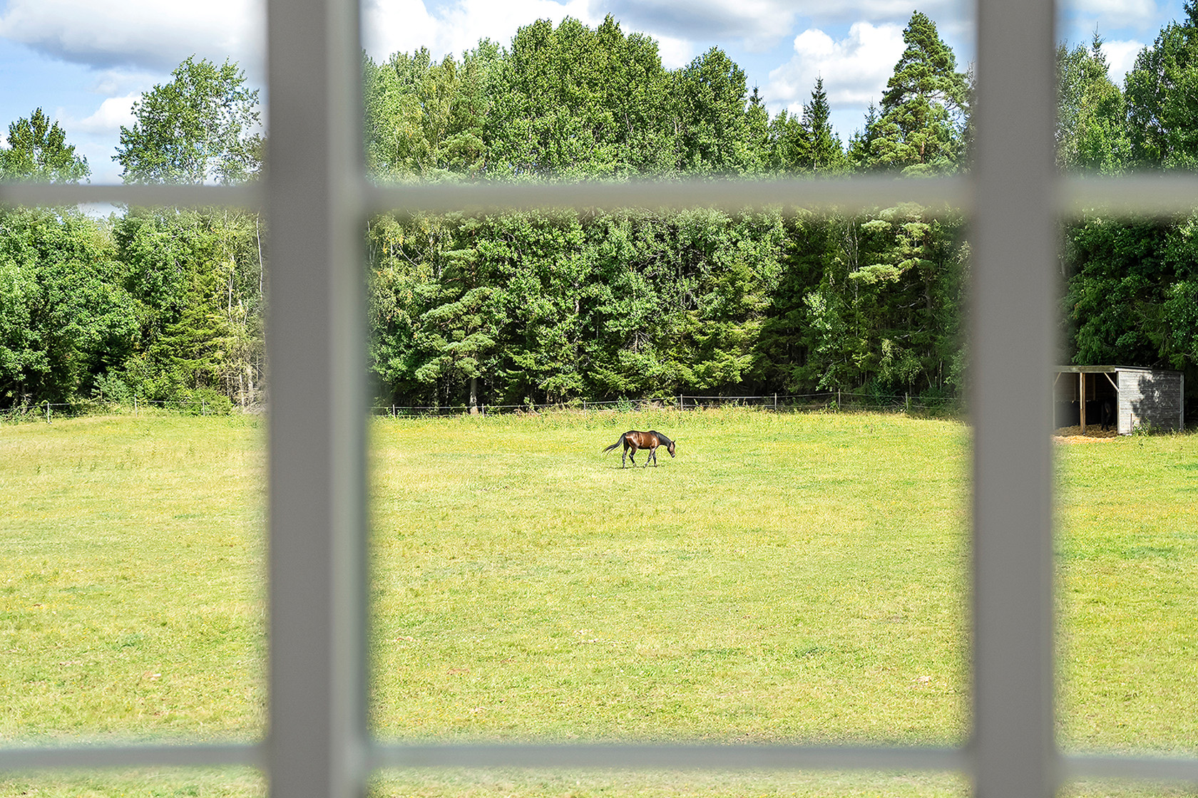 Fötene Krokarna 2 – bild 21