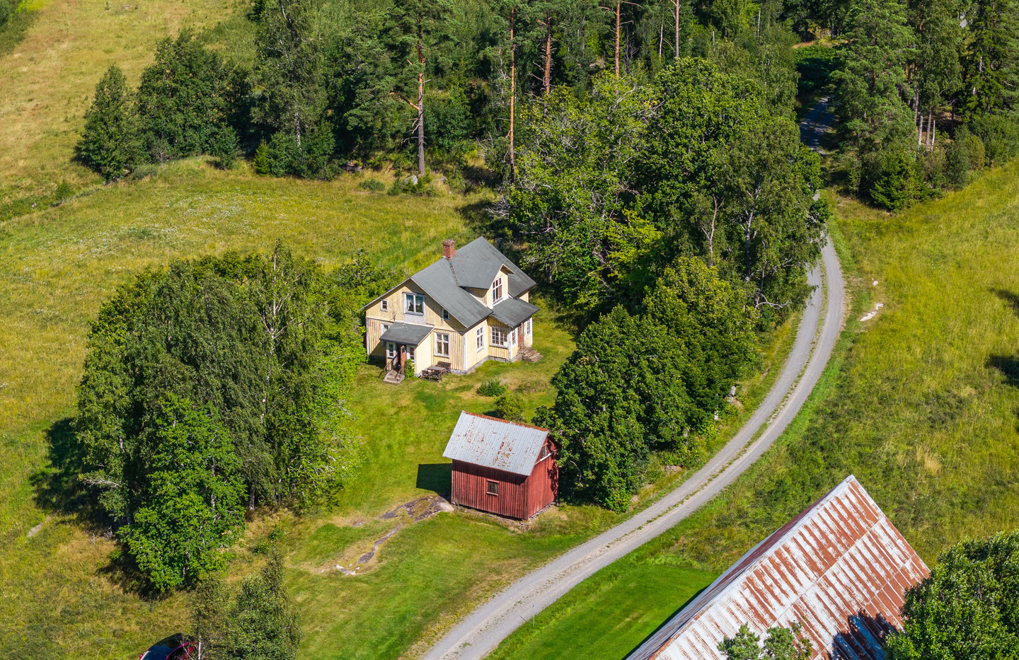Dammängen – bild 6