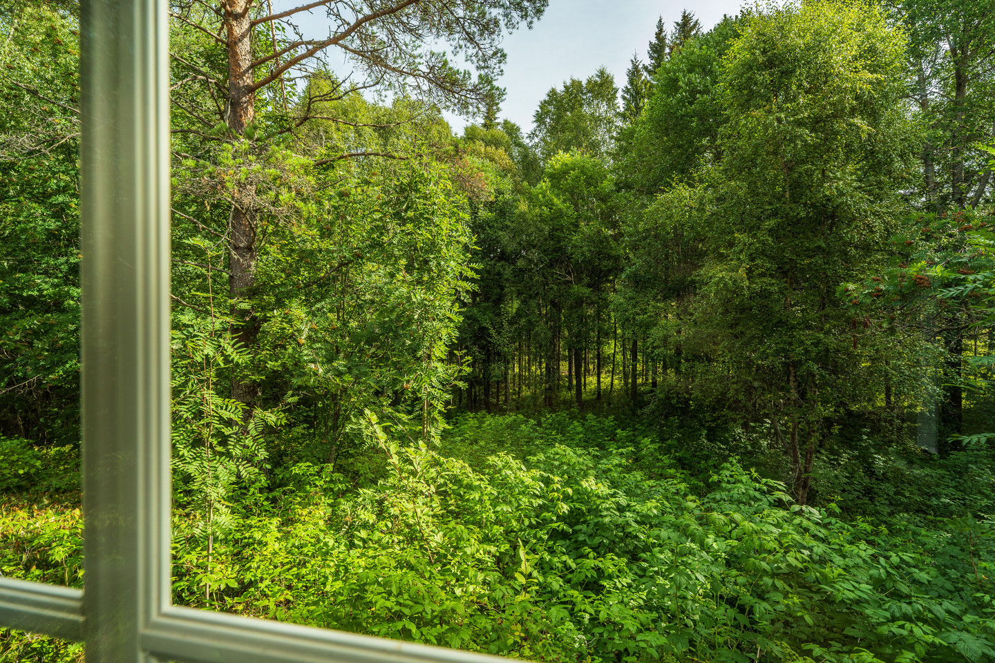 Önska 158 – bild 14