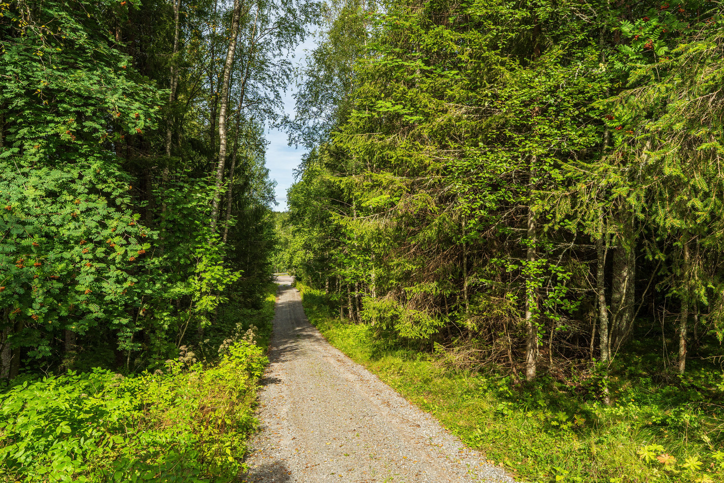 Önska 158 – bild 24