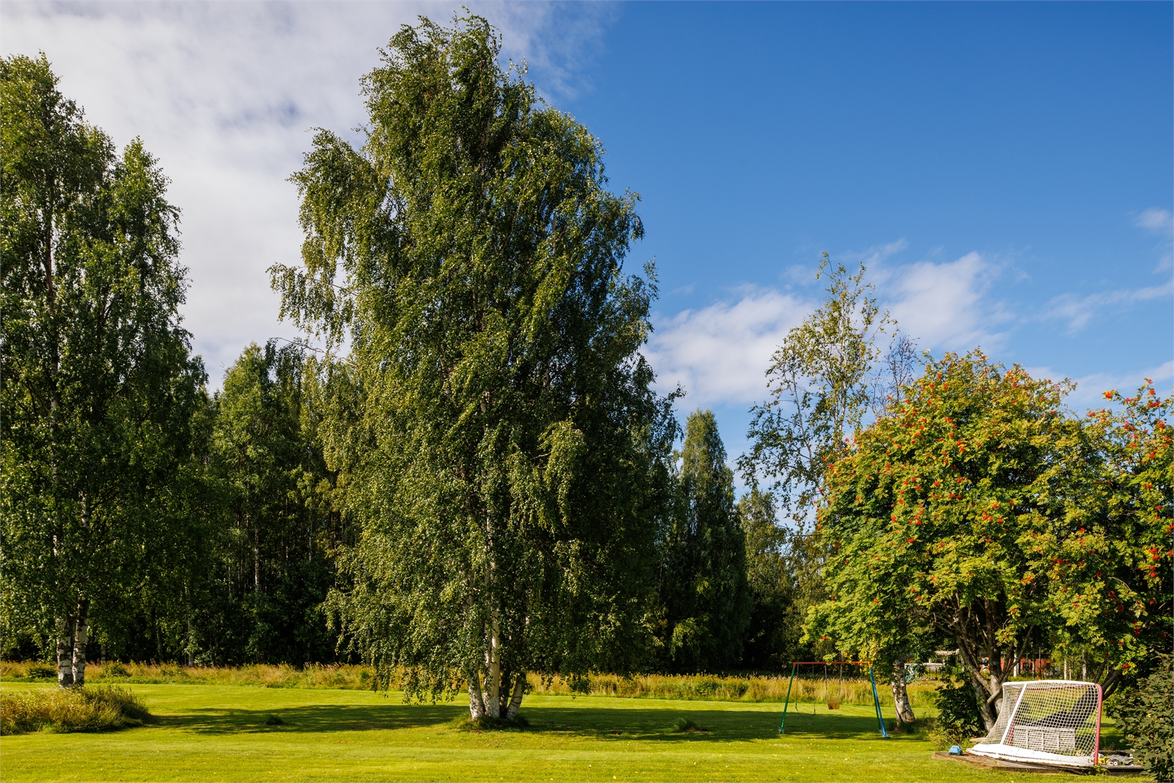 ons 23/9 – bild 25