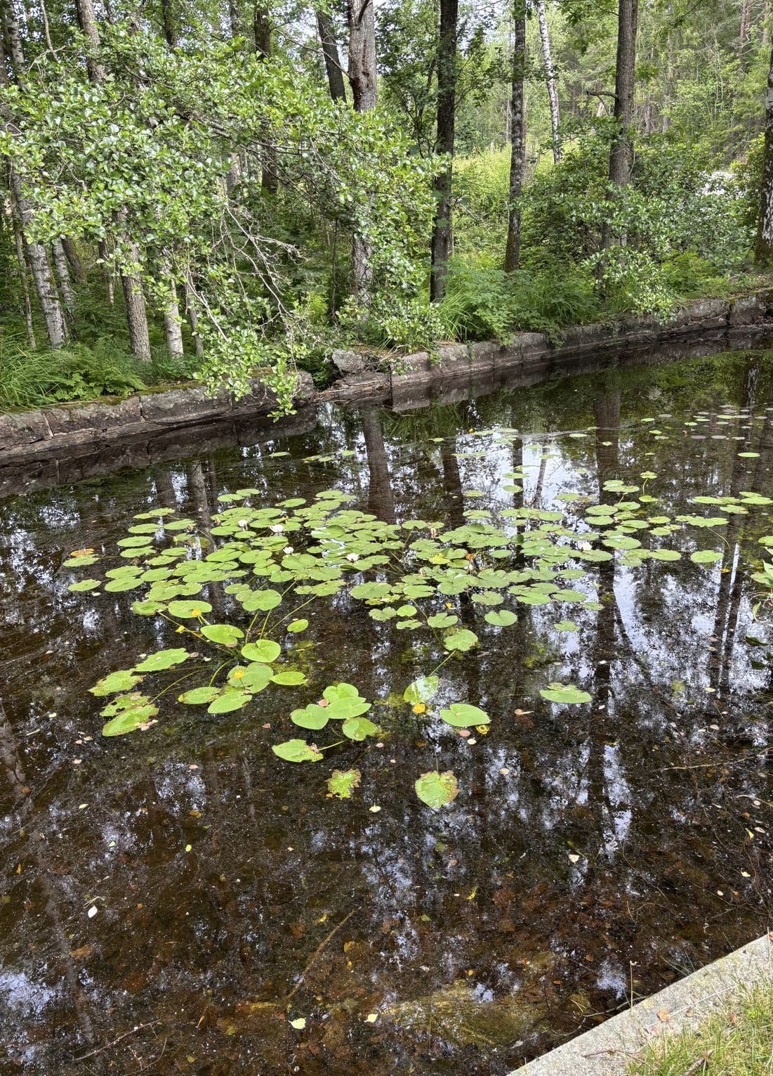 Gamla Ödenäsvägen 64 – bild 33