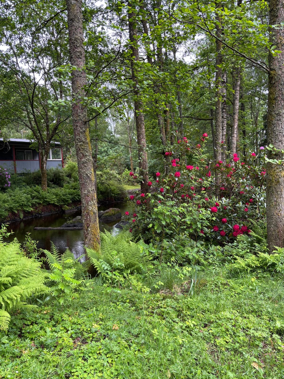 Gamla Ödenäsvägen 64 – bild 35