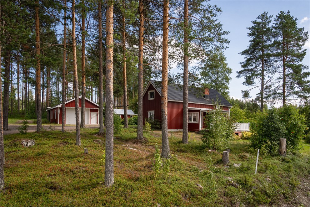 Pålsträsk 41