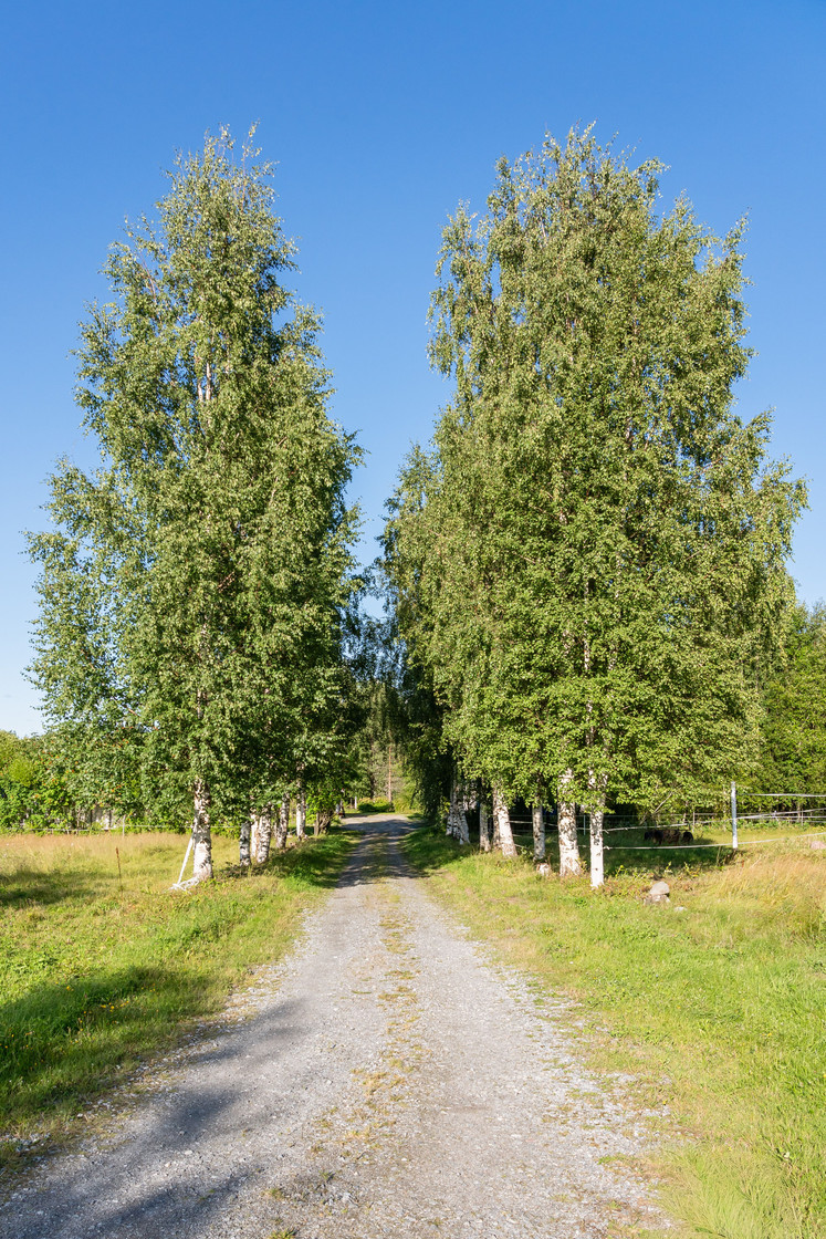 Högheden 107 – bild 8