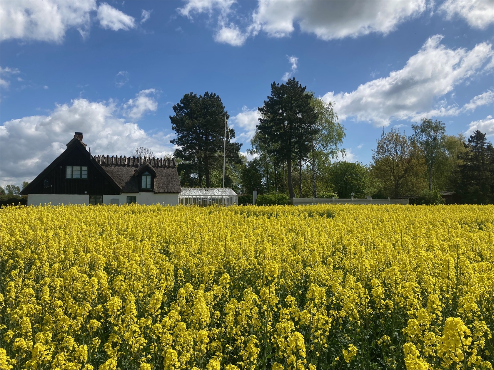 Gudmundtorpsvägen 166-0 – bild 31