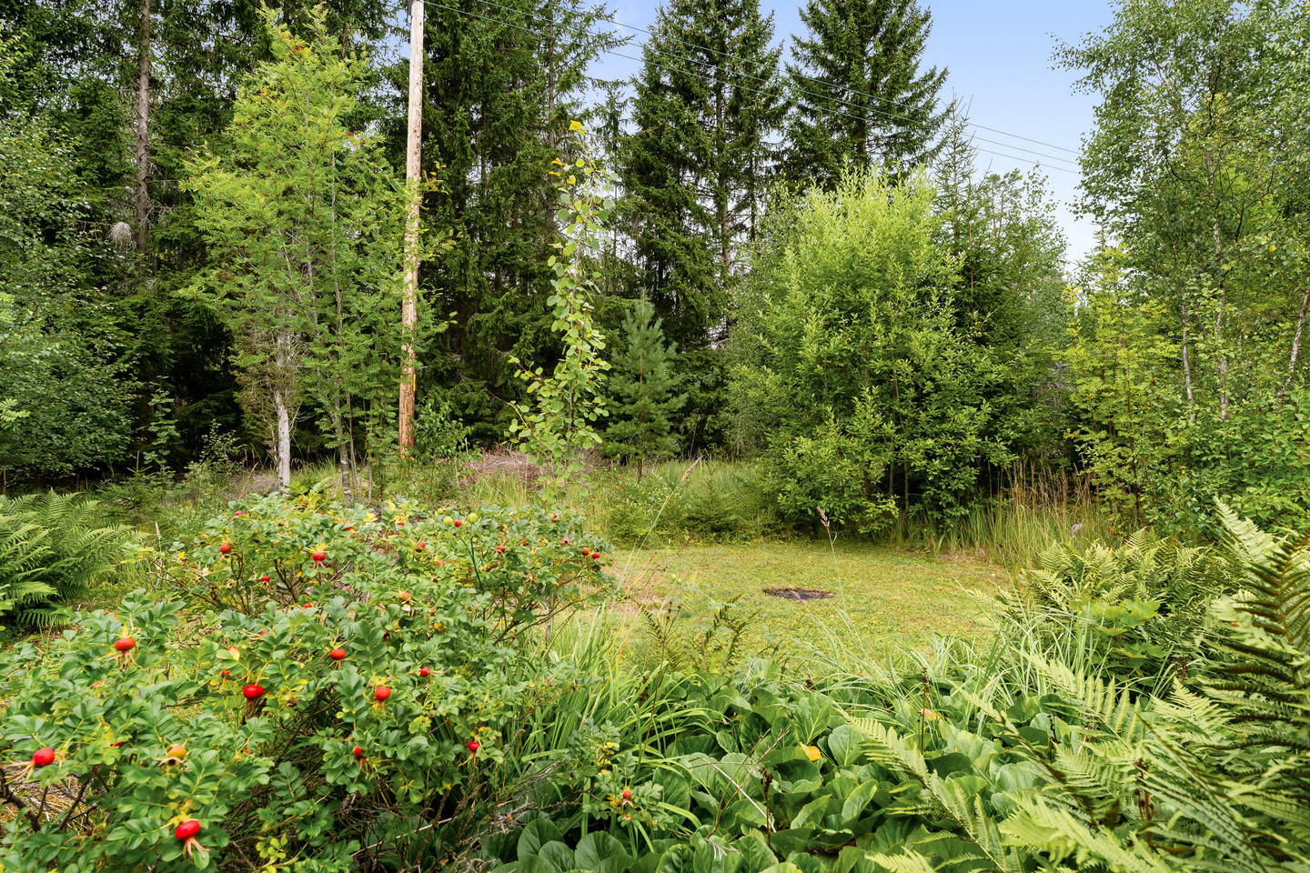 Ängskär Strandvägen 19 – bild 18