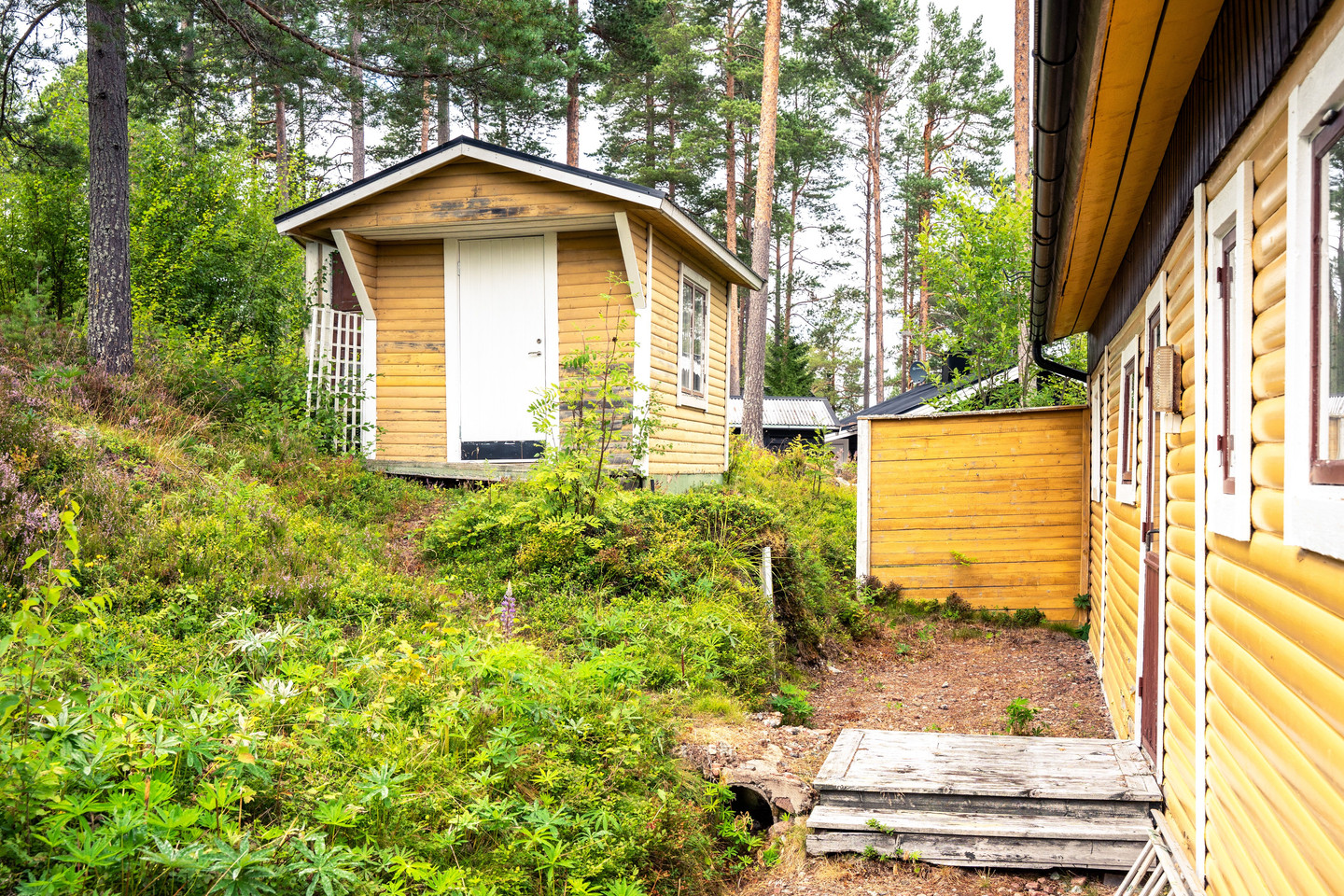 Västerlandet 114 – bild 26