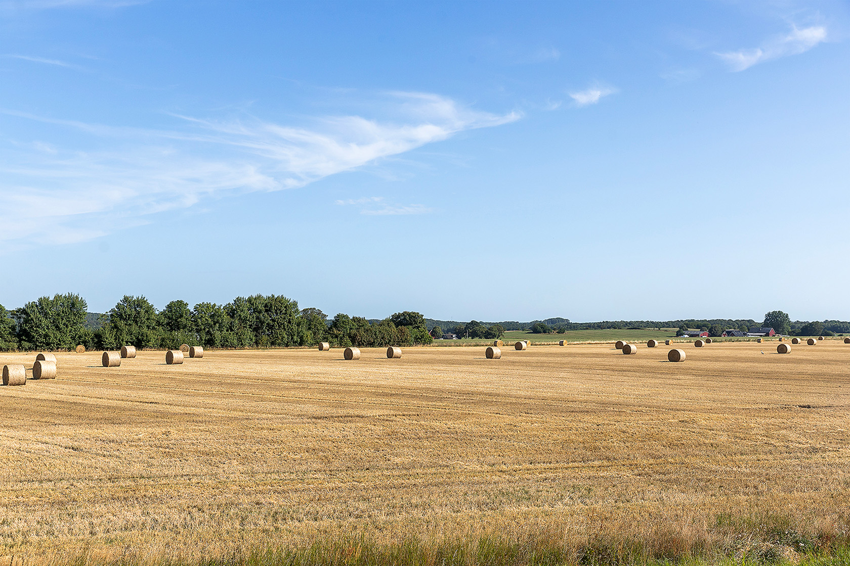 Råby 2033 – bild 4