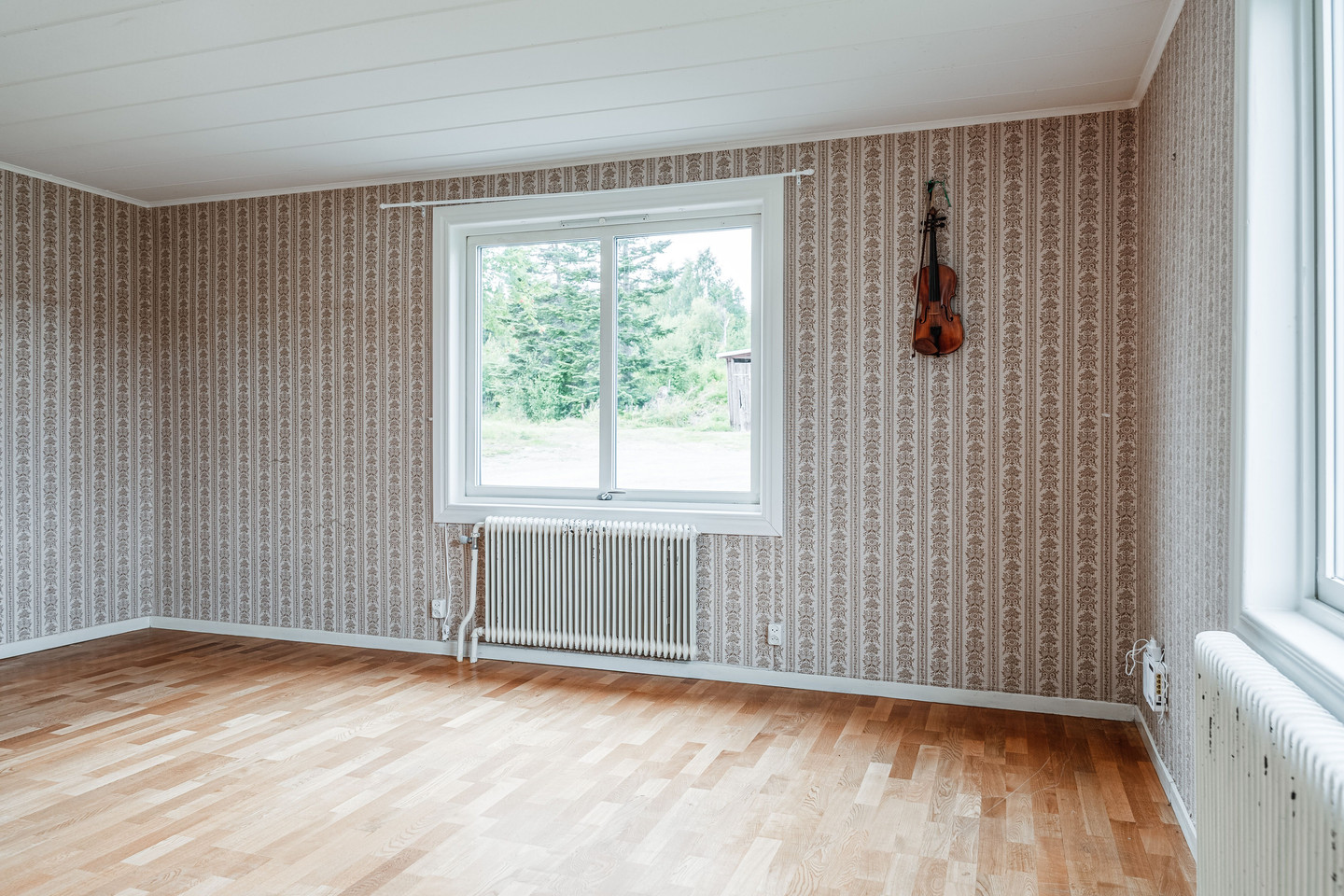 tors 24/9 – bild 22
