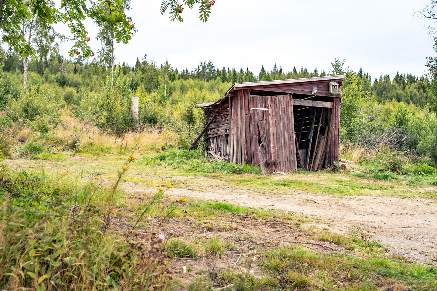 tors 24/9 – bild 54