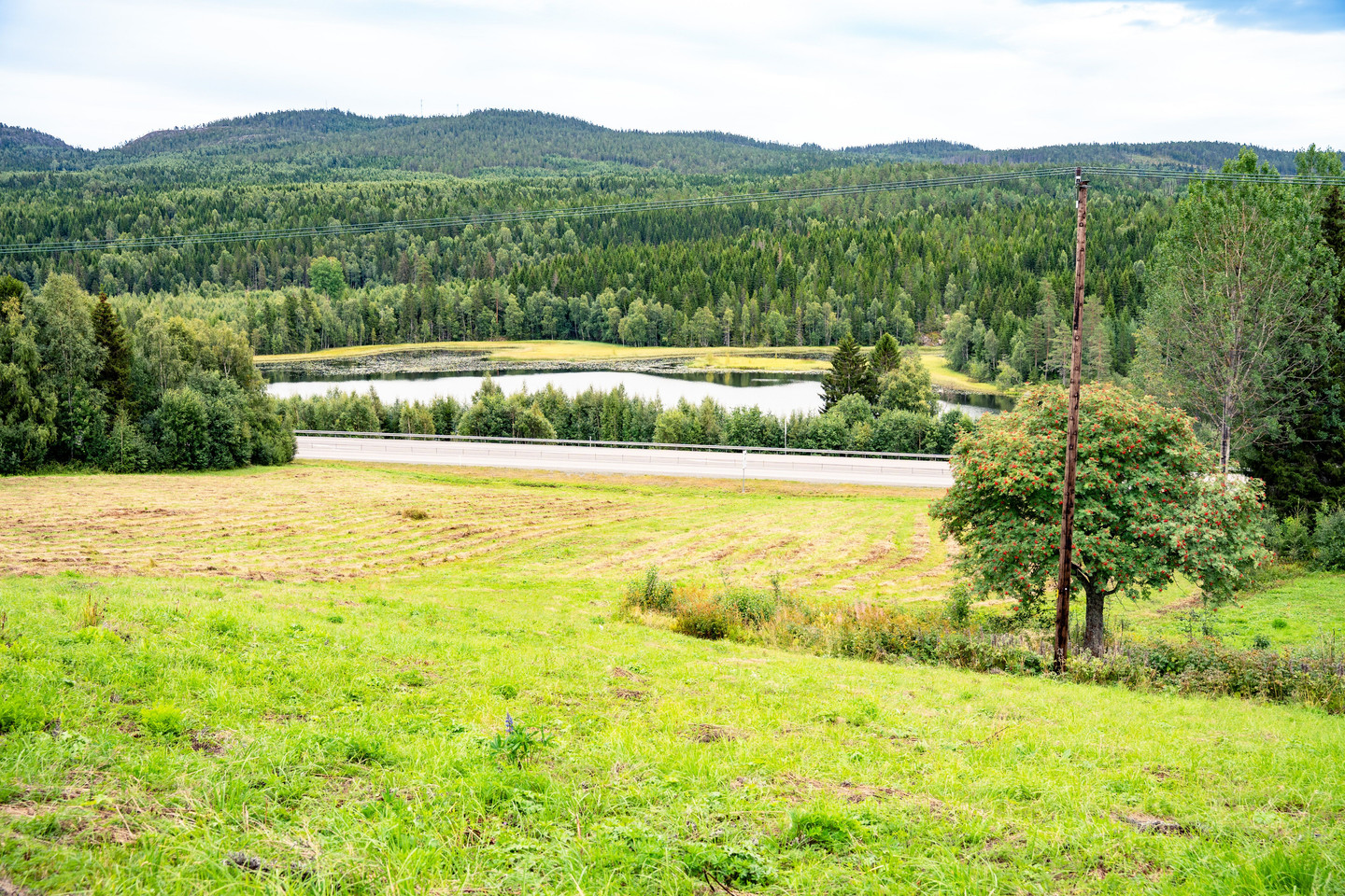 tors 24/9 – bild 56