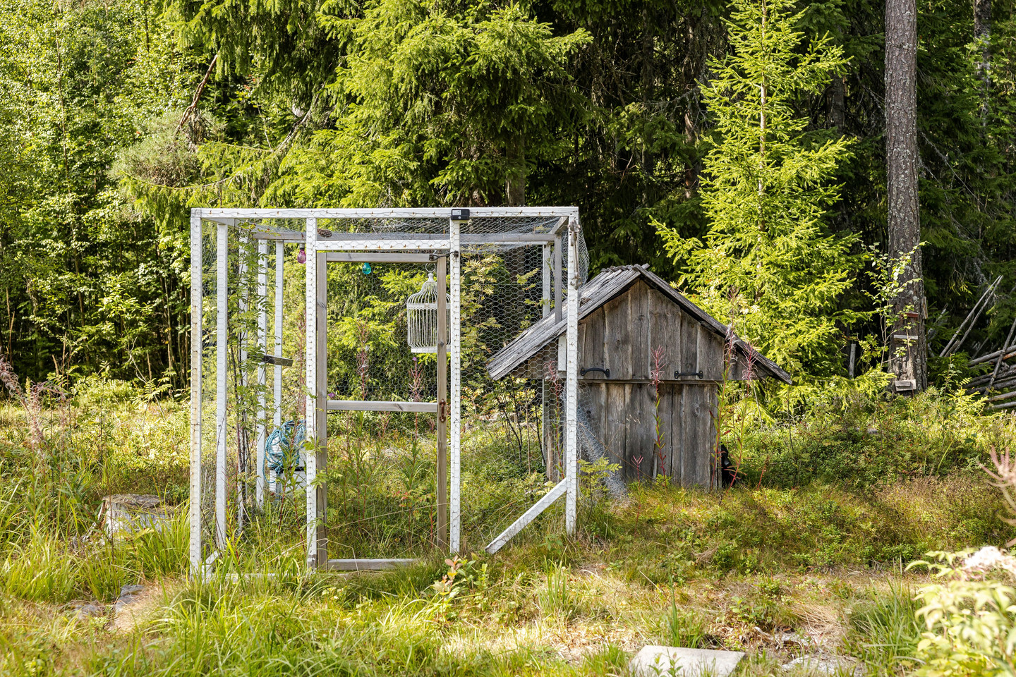 Finnlindorna 24 – bild 26