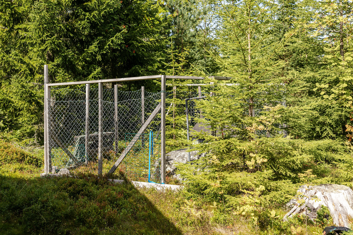 Finnlindorna 24 – bild 25