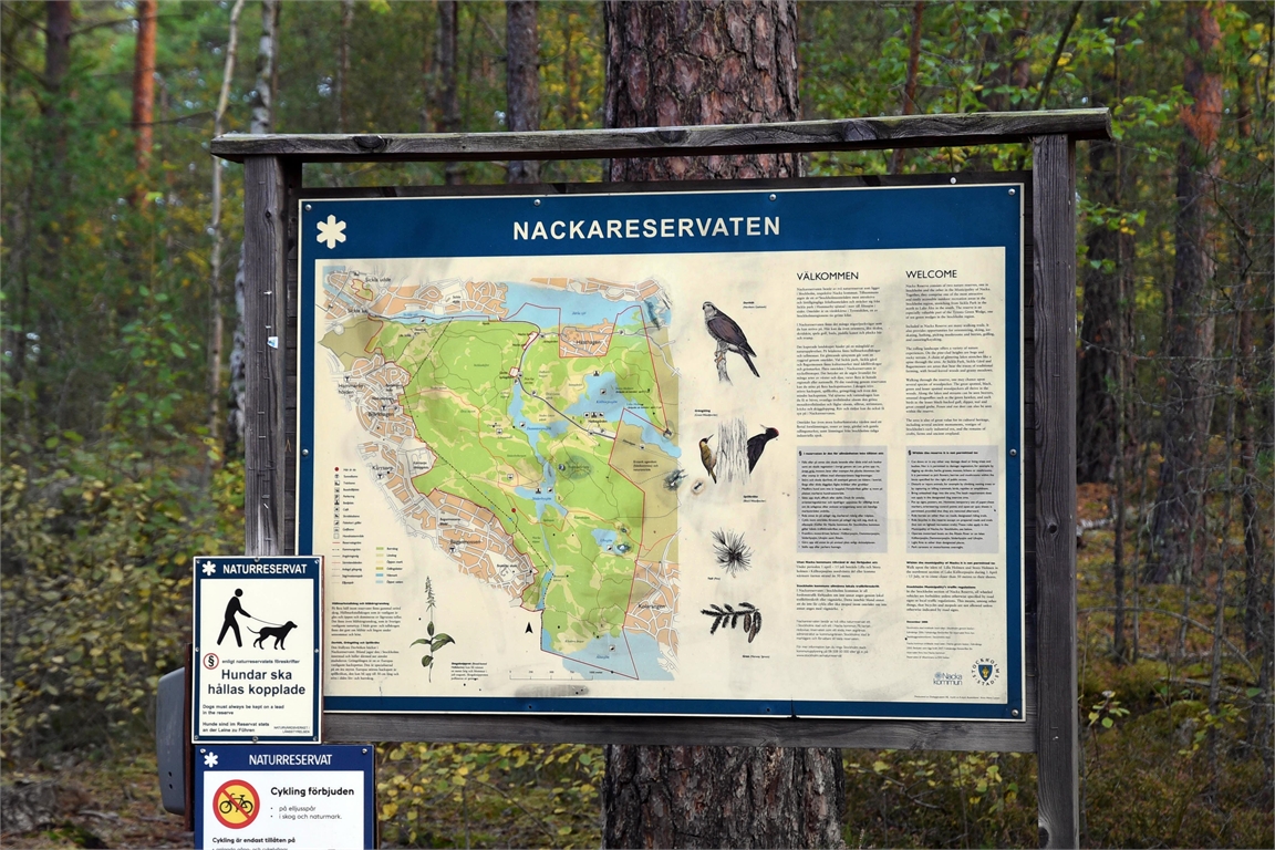Wahlbergsgatan 8 – bild 12