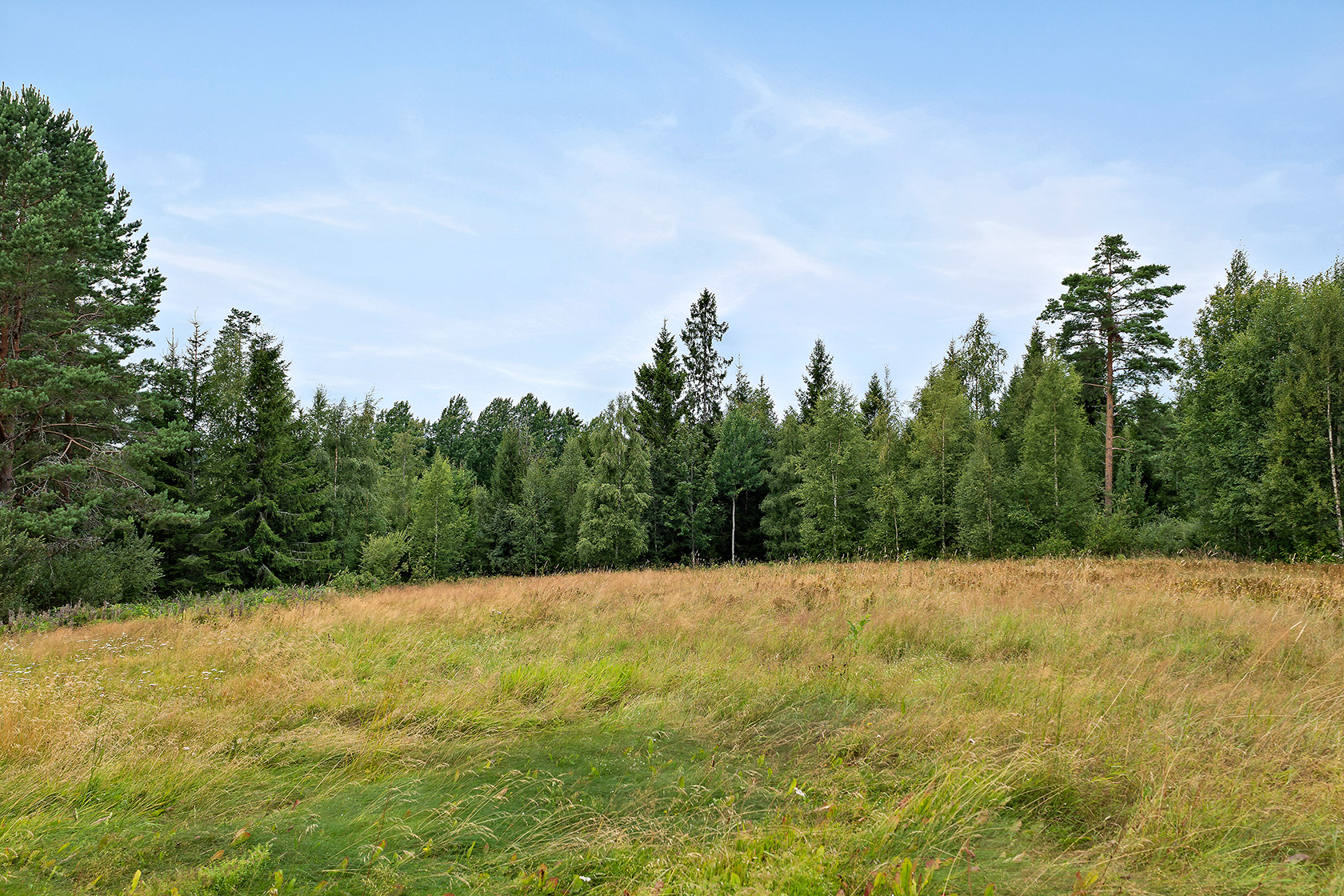 Arnstorp 45 – bild 8