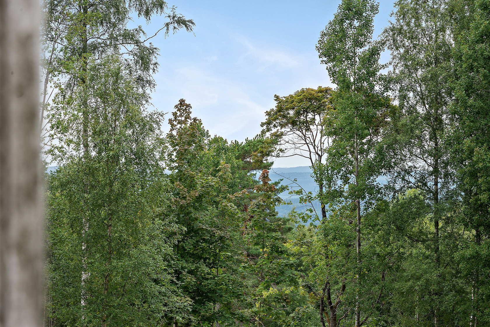Arnstorp 45 – bild 10