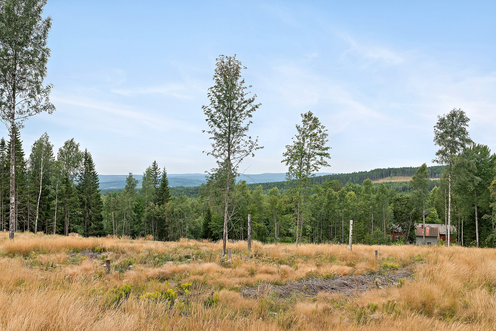 Arnstorp 45 – bild 2