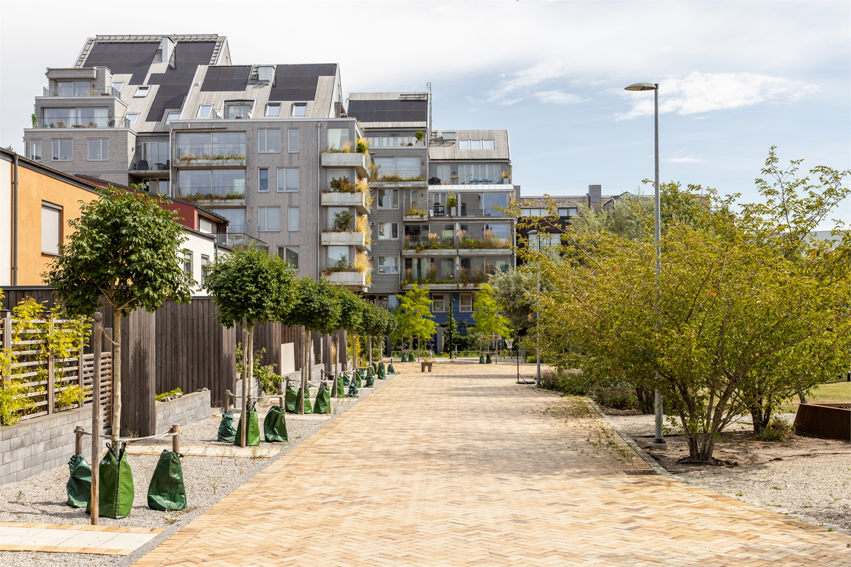 Soluppgången 20 – bild 32
