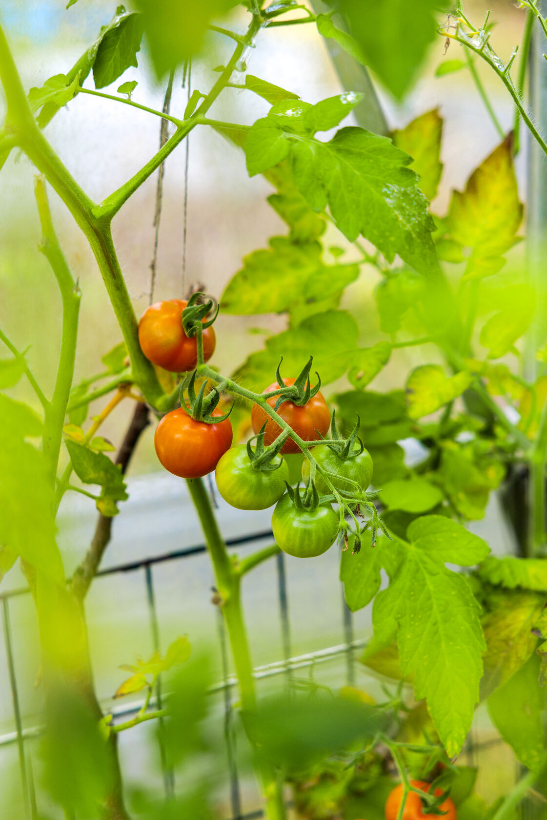 Torkelsbohögsvägen 76 – bild 23