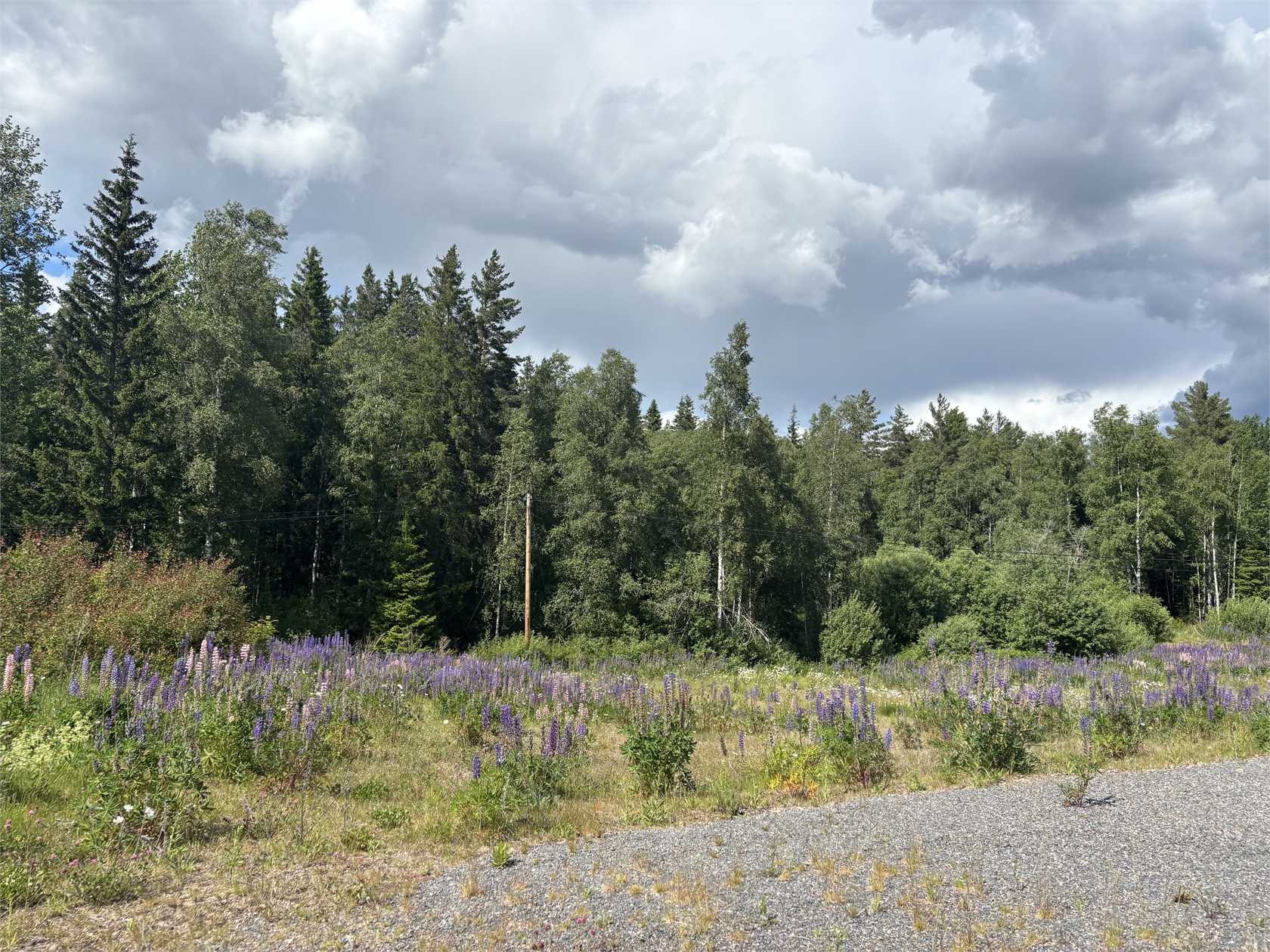 Åkvarn-Björkå 11 – bild 15