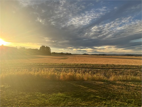 Säljarens egen bild.