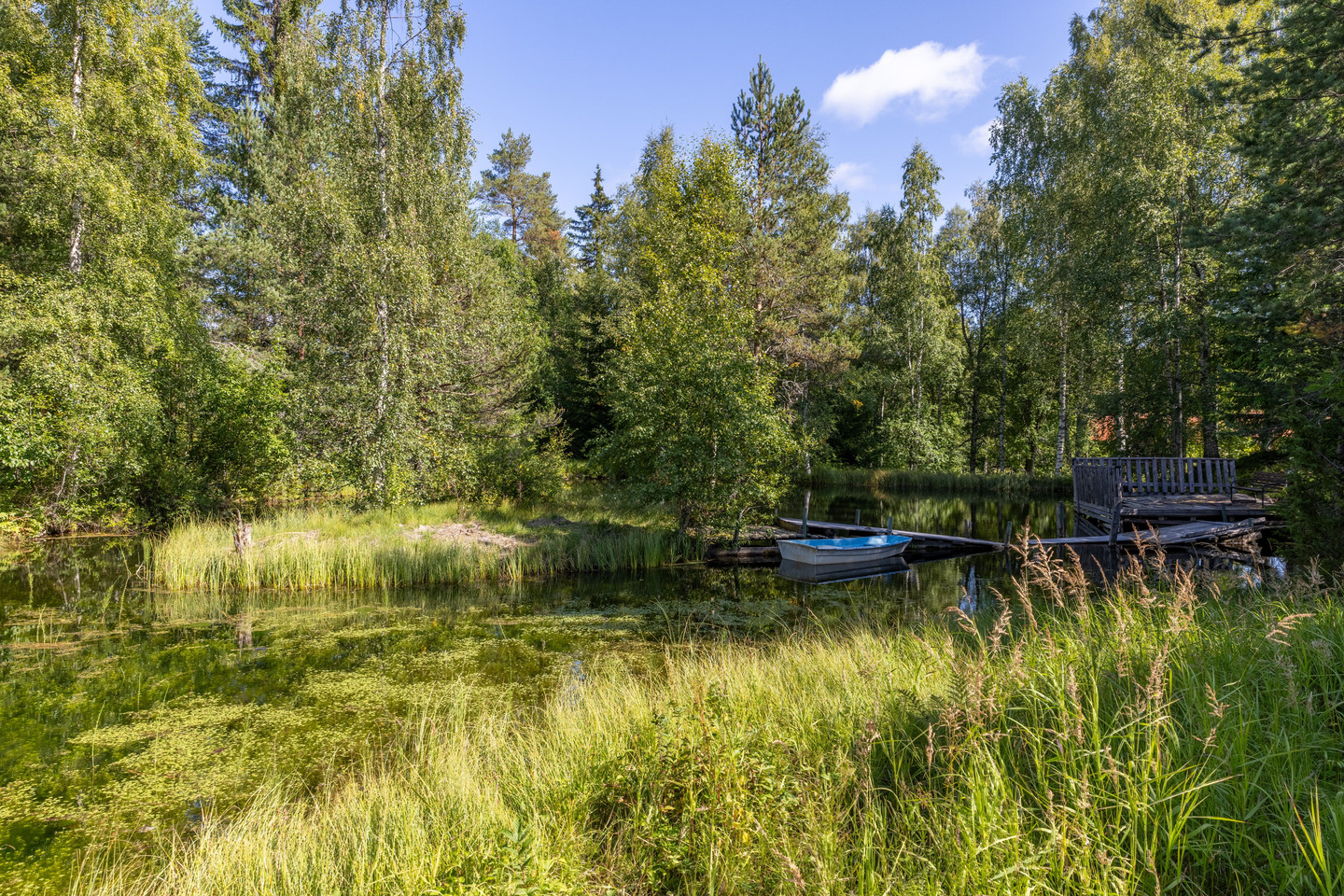 Risberg 33 – bild 44