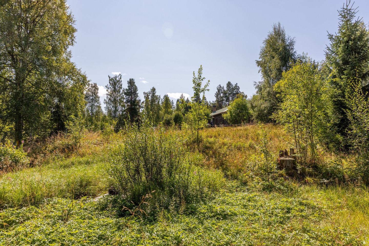 Risberg 33 – bild 50