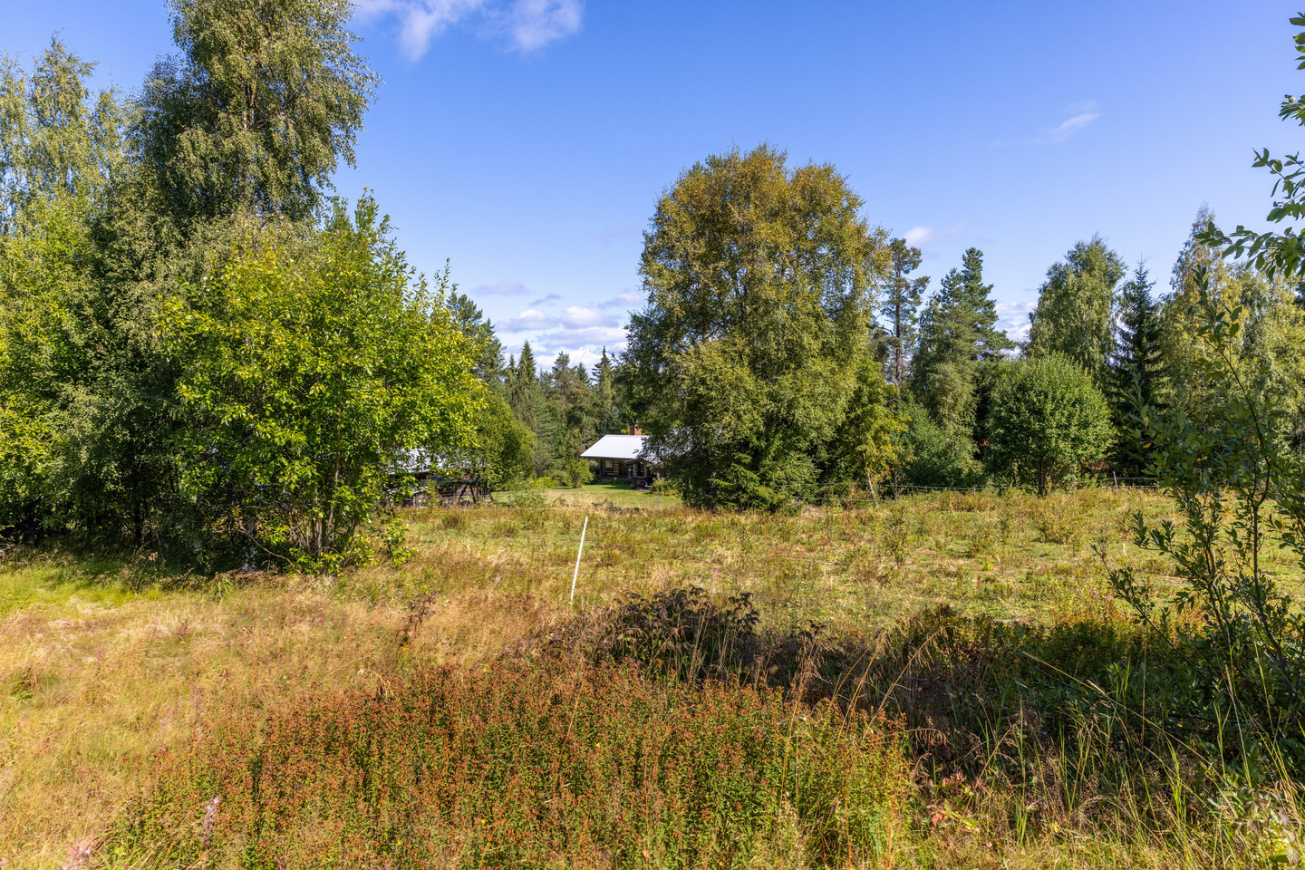 Risberg 33 – bild 51
