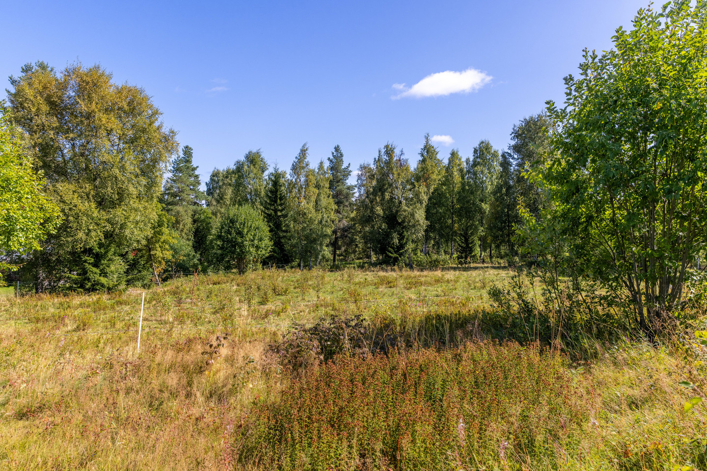 Risberg 33 – bild 52