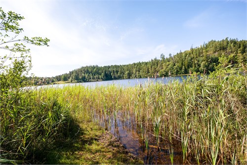 Även sjötomt i sjön Hjulsjön