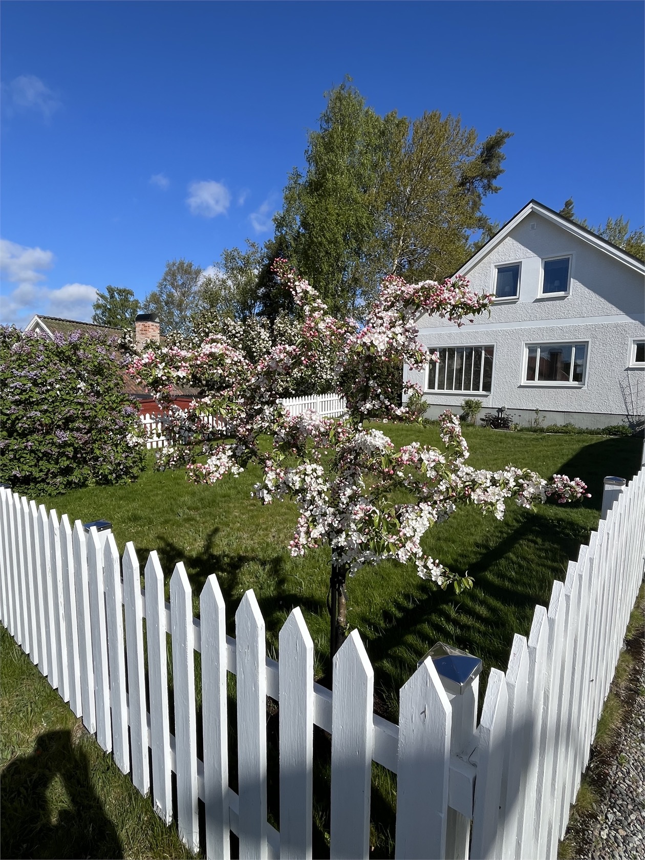 STÅLRINGEN 7 – bild 43