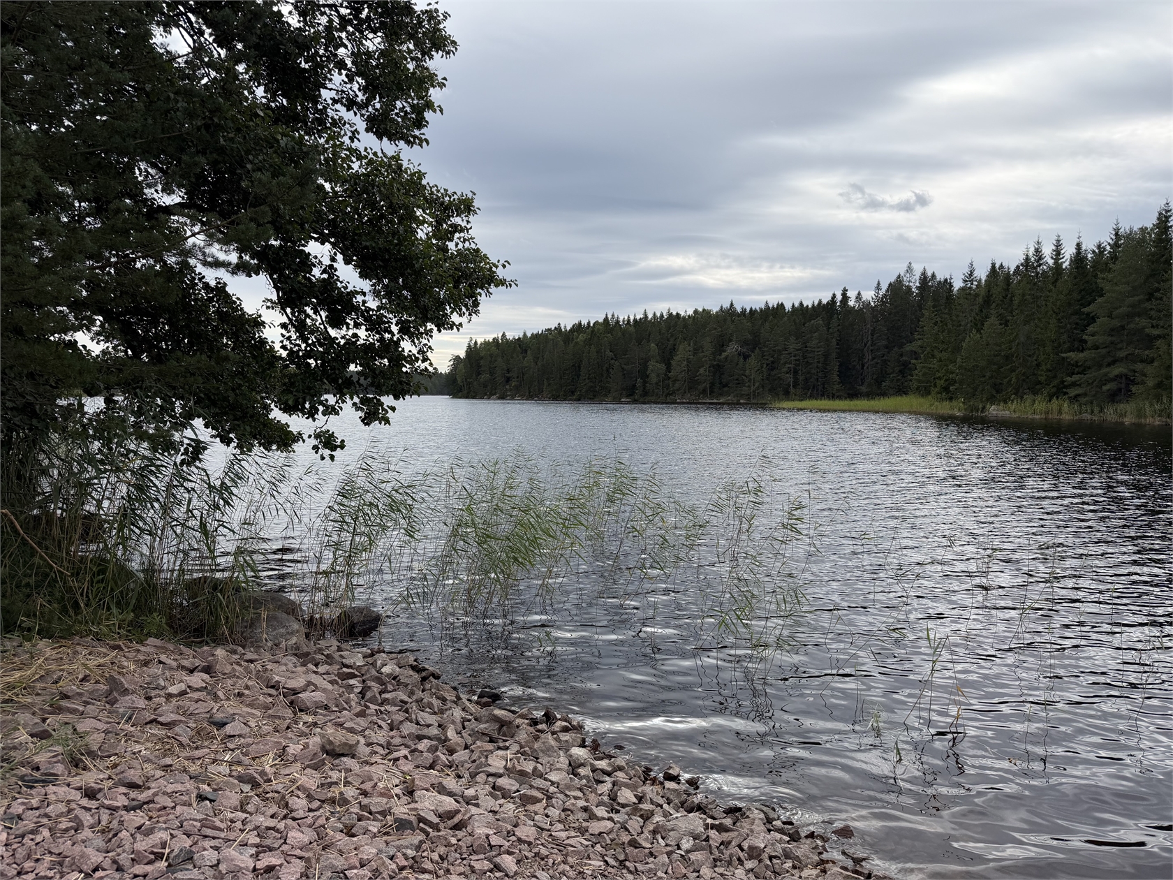 Kungsskogen Stor Älgsjön 1 – bild 26
