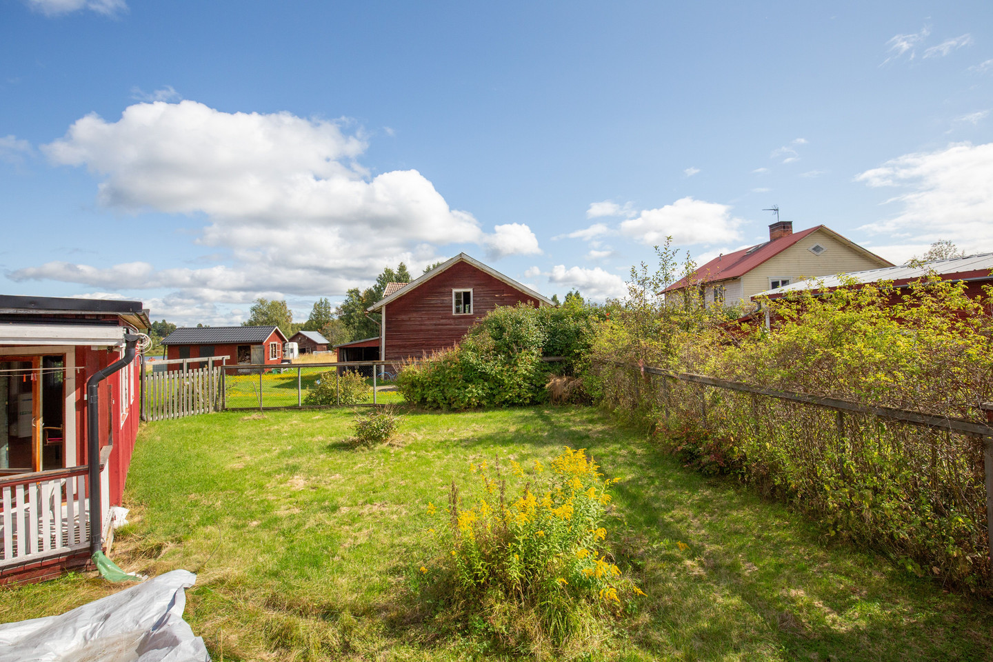 lör 31/10 – bild 22